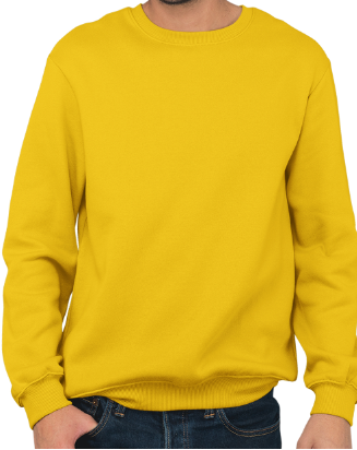 Men Sweatshirt plain Yellow